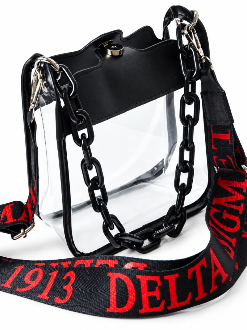 Clear Stadium Bag